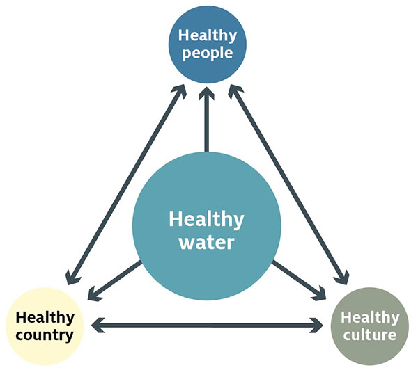 Indigenous principles for