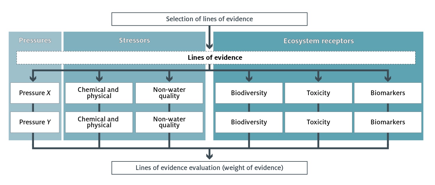 Figure 1 Weight-of-evidence process across the pressure–stressor–ecosystem receptor (PSER) causal pathway